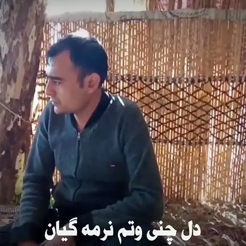 دانلود آهنگ دل چنی وتم نرمه گیان اوه ناکسه دانلود آهنگ دل چنی وتم نرمه گیان اوه ناکسه